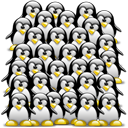 Penguin pingouin pinguino 264